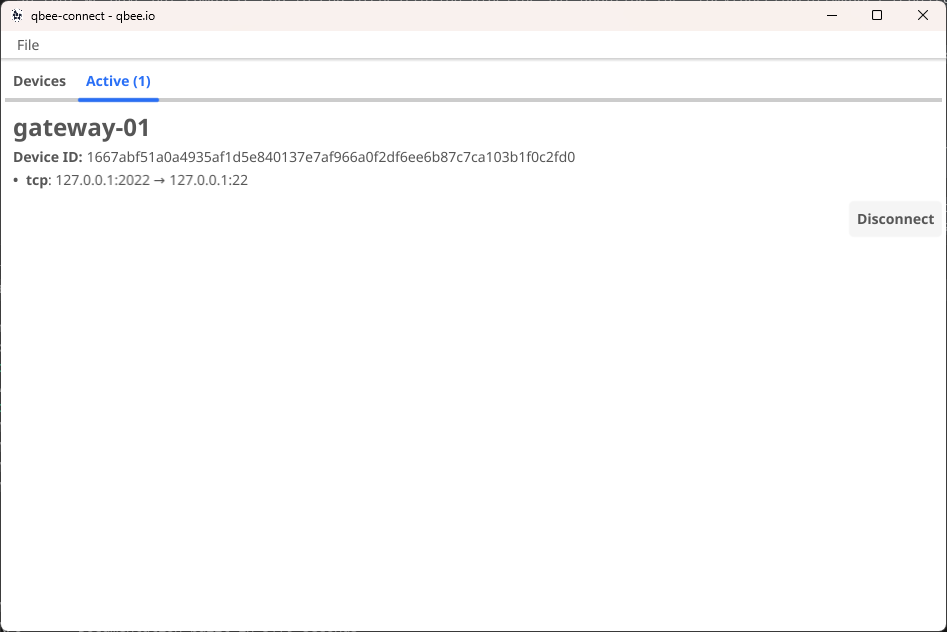 Active connections view in qbee-connect